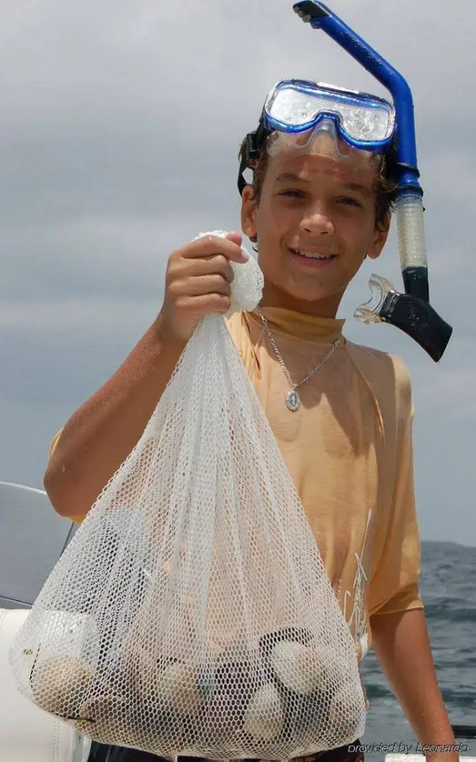 Holiday Inn Express Crystal River by IHG