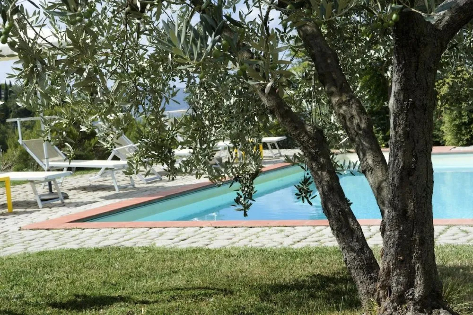 Agriturismo Il Bellini