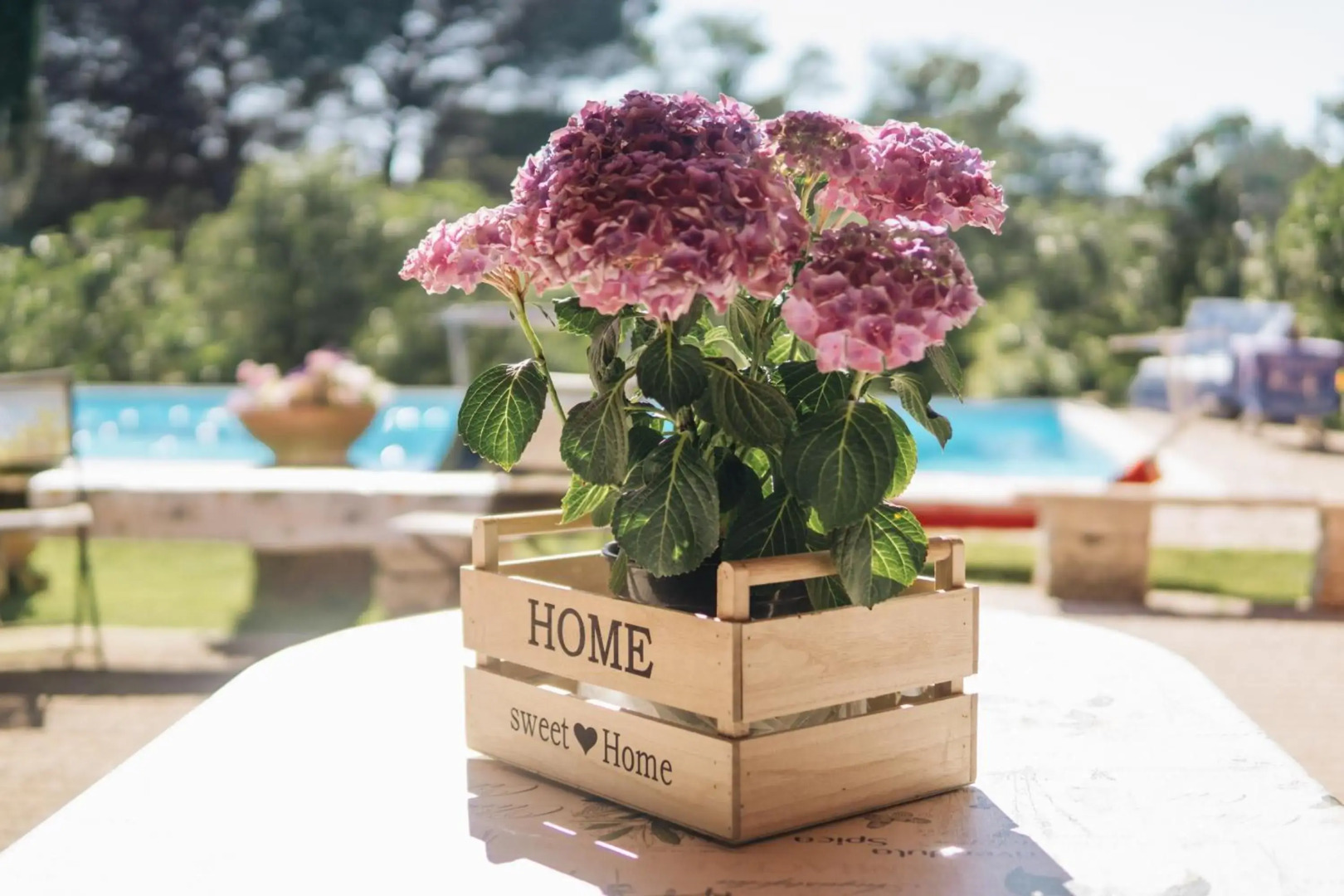 Poggio degli Oleandri