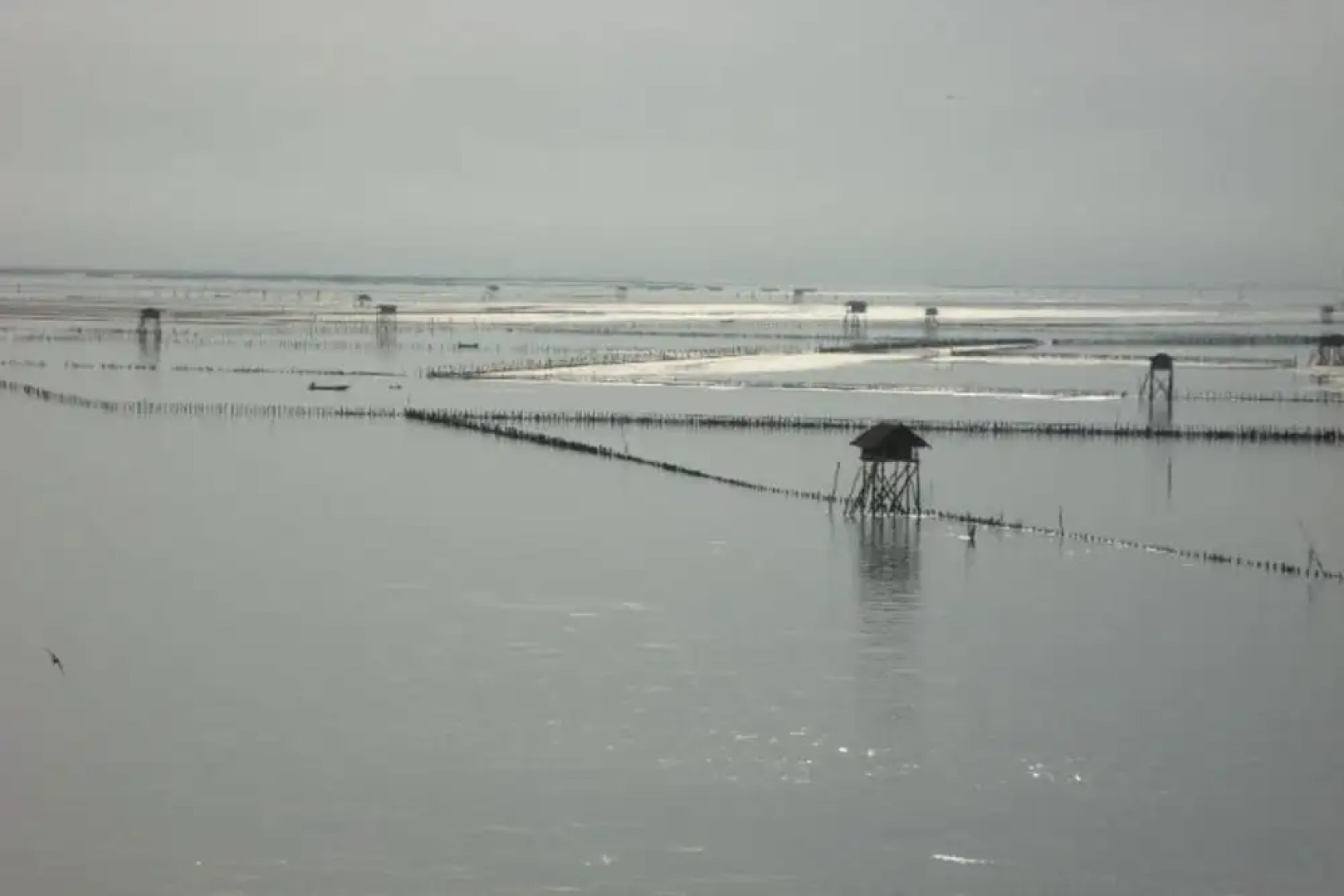 Sampaongern Homestay