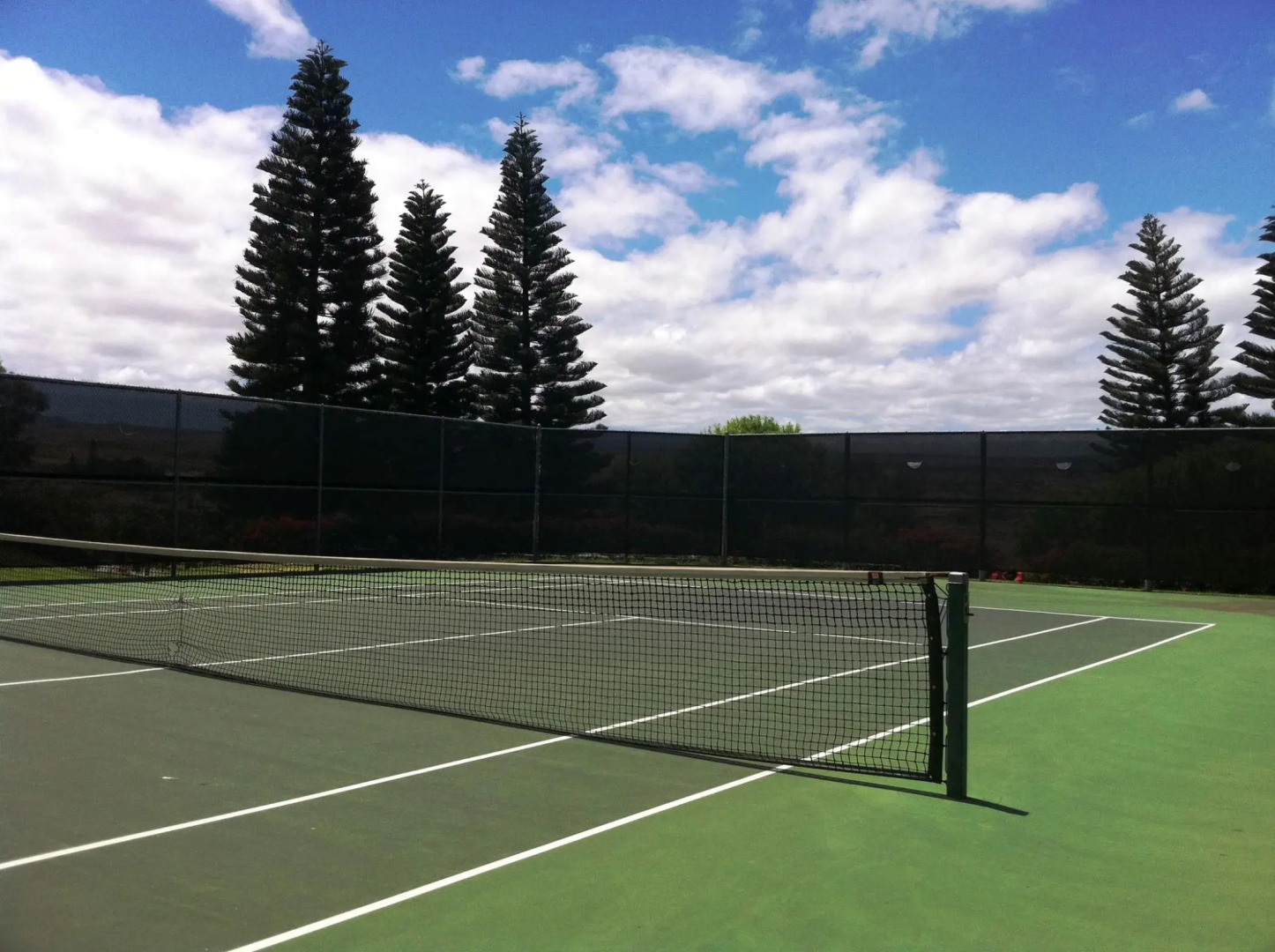 Paniolo Greens At Waikoloa