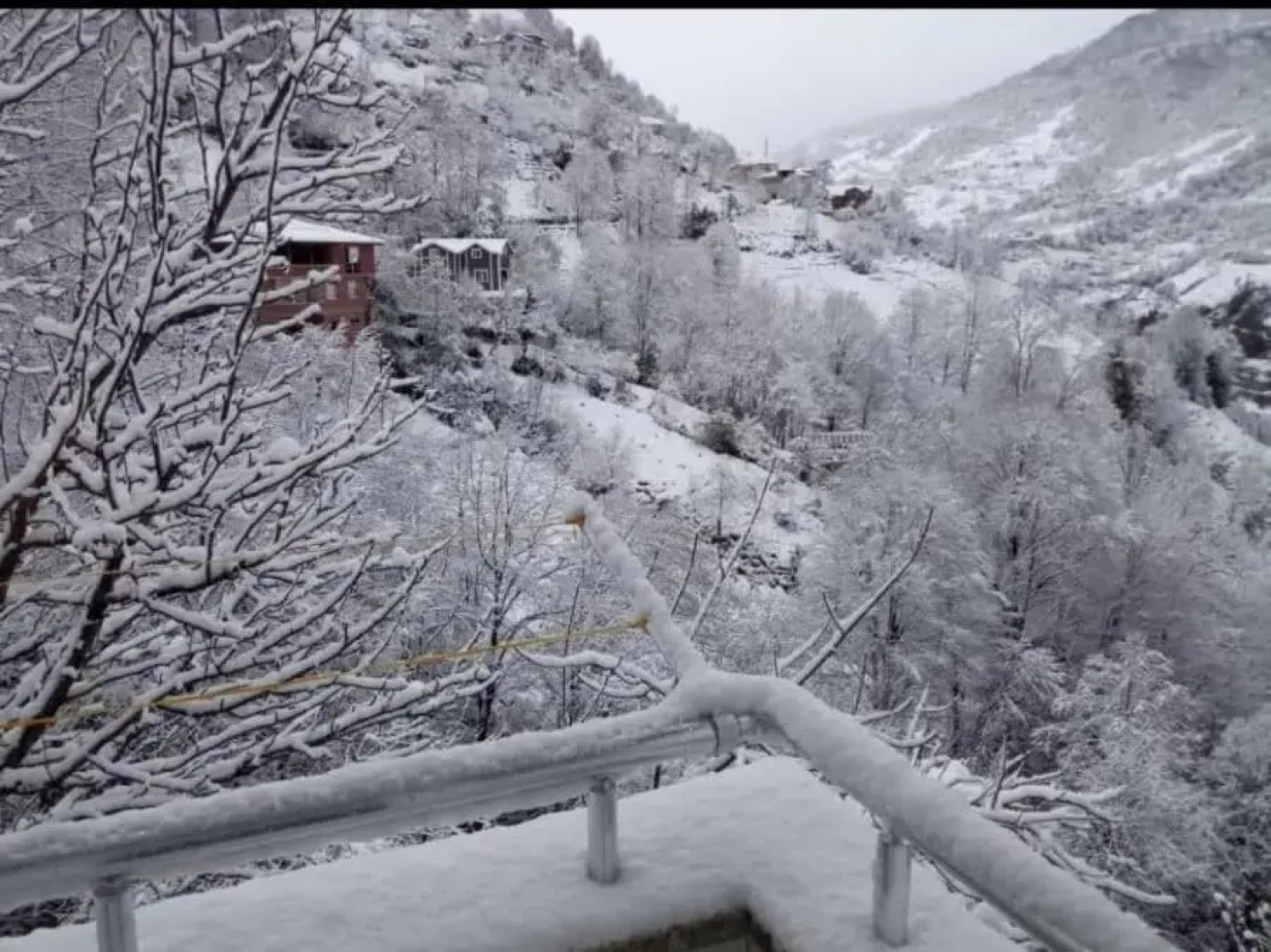 Petra Suit Bungalov Villa