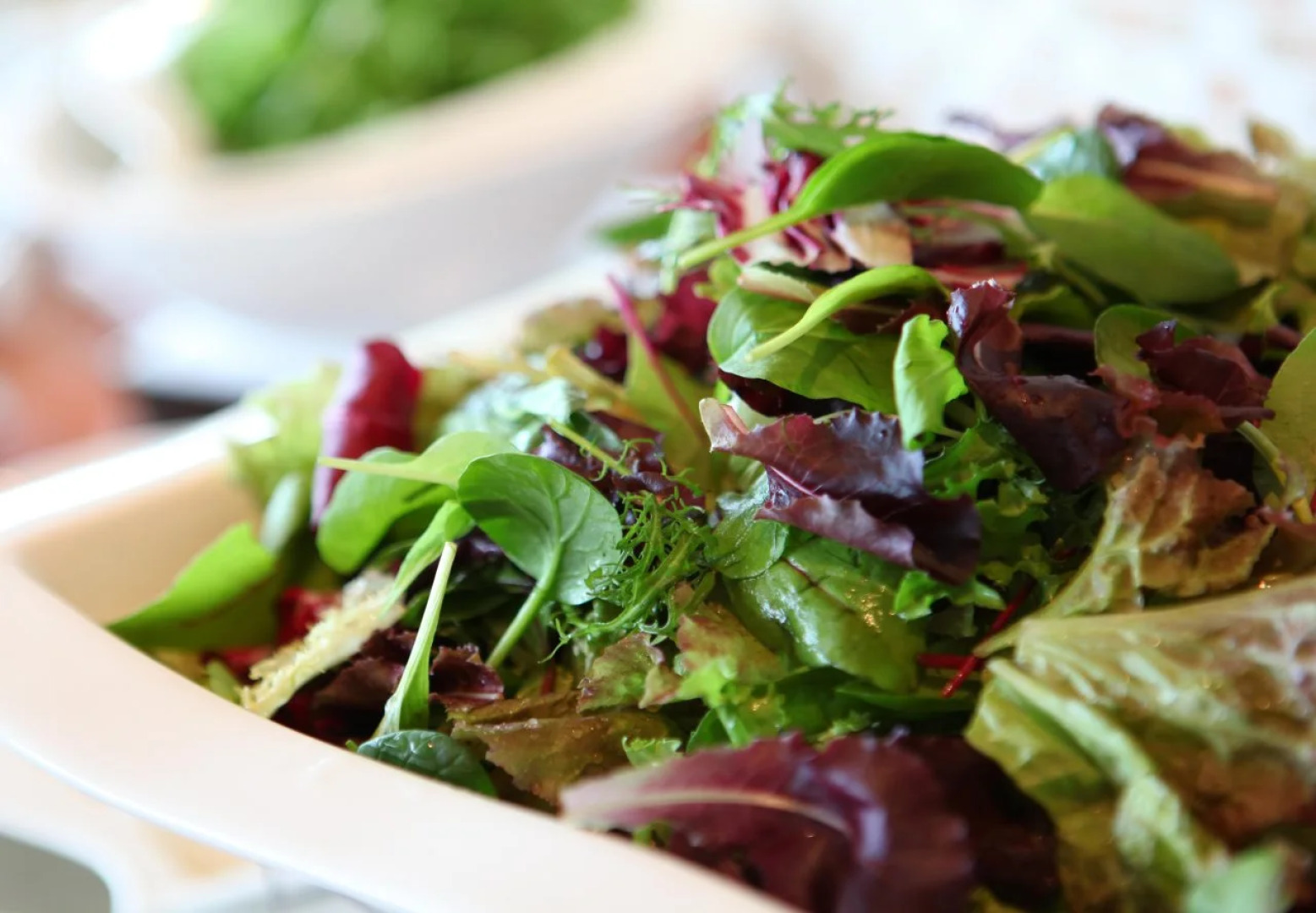 Island Hotel & Resort Nasu