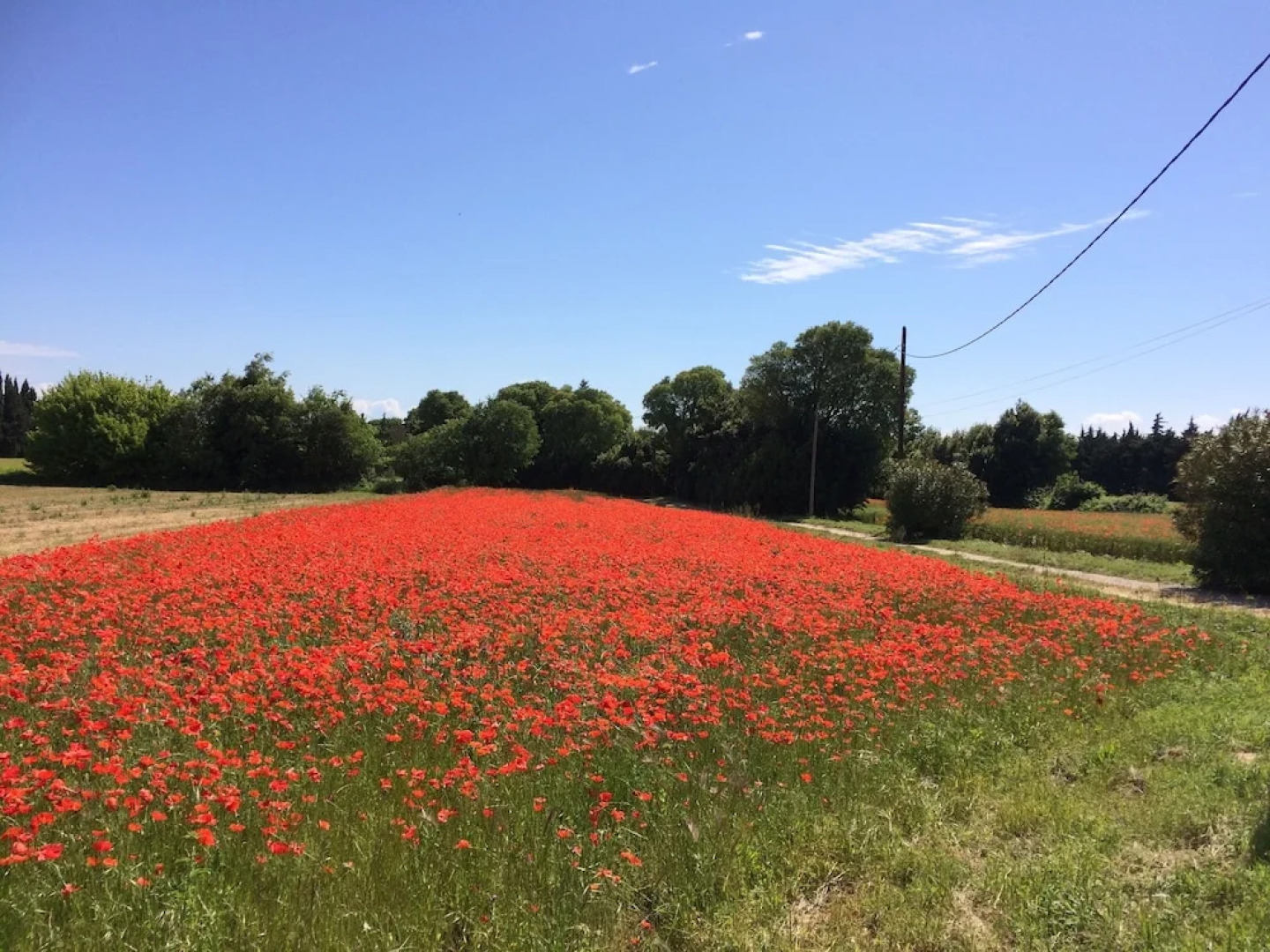 Les Aires Passagères
