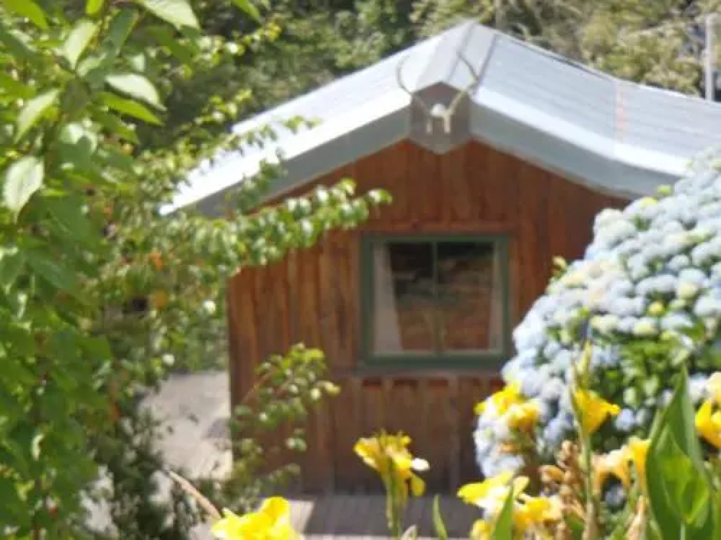 Blackberry Hill Farm