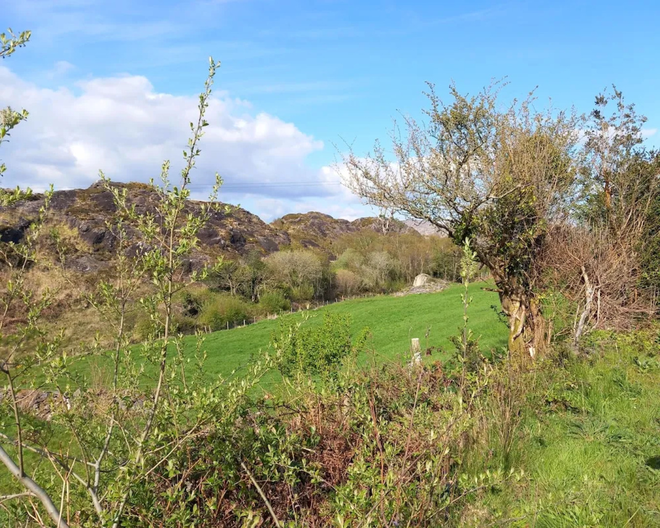 Cuckoo Tree House, Glengarriff, Beara Peninsula
