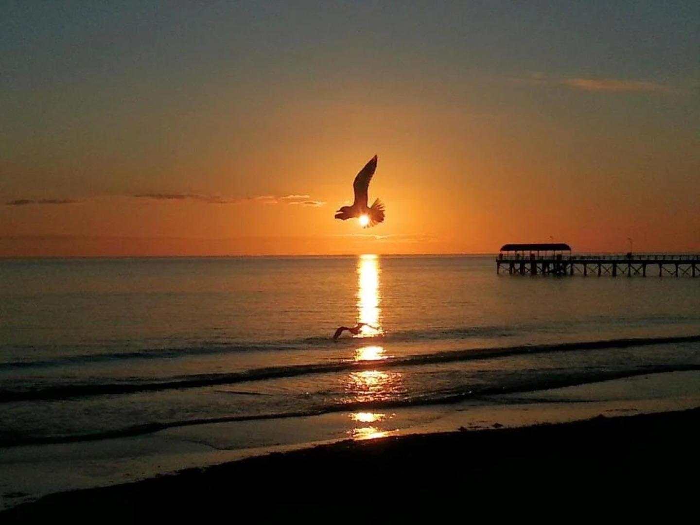 Adelaide Luxury Beach House