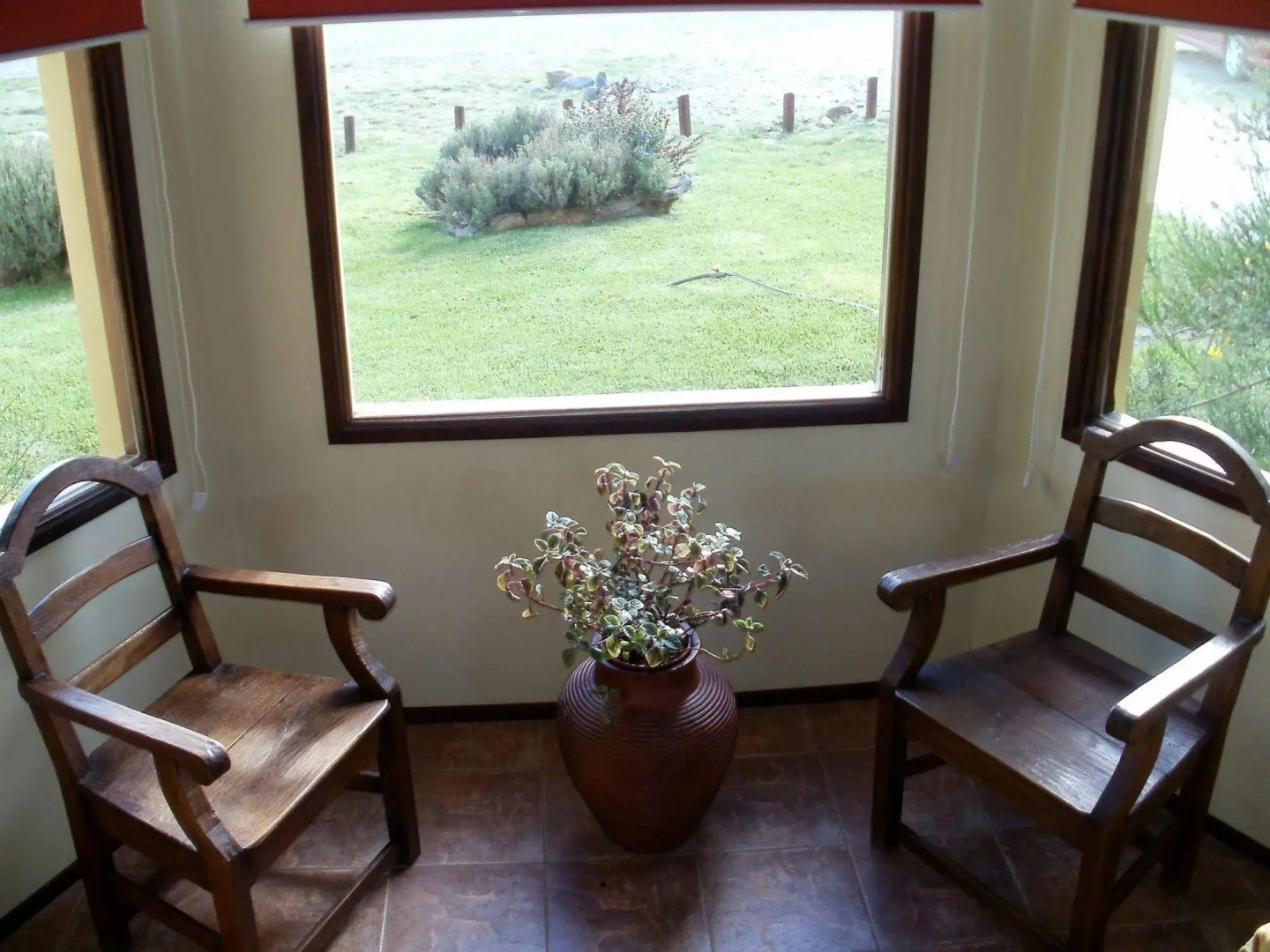 Glaciares De La Patagonia