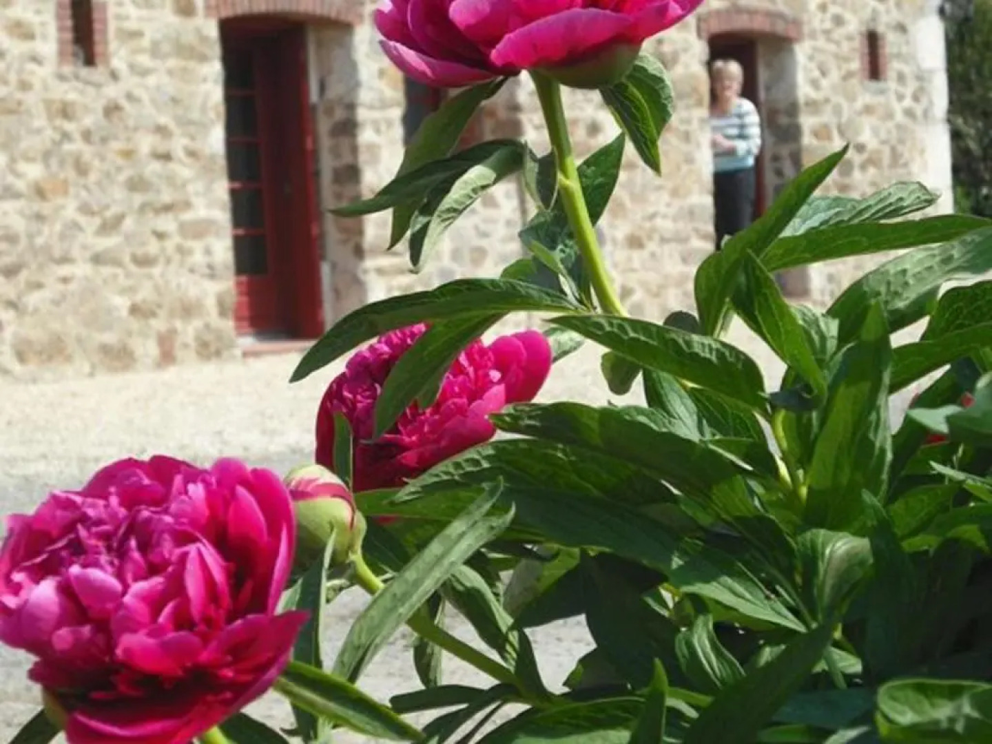 Gîte Saint-Michel-Mont-Mercure, 3 pièces, 4 personnes - FR-1-426-249