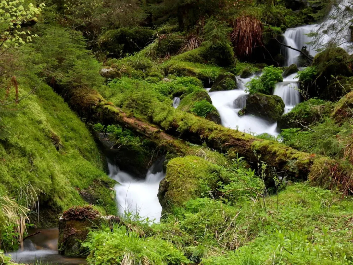 Ferienwohnung im Bernautal