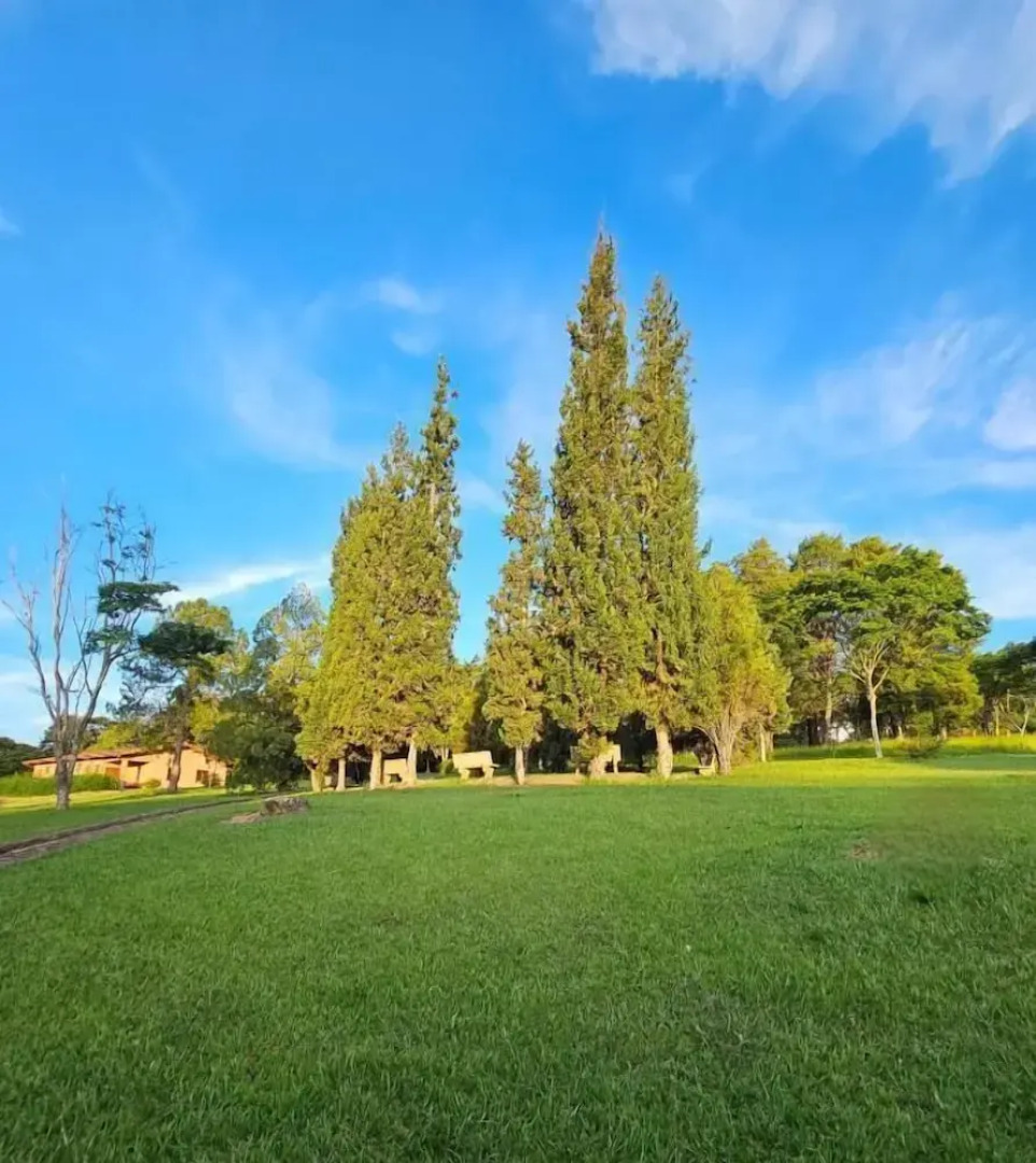 Siloé Hotel by Concavus