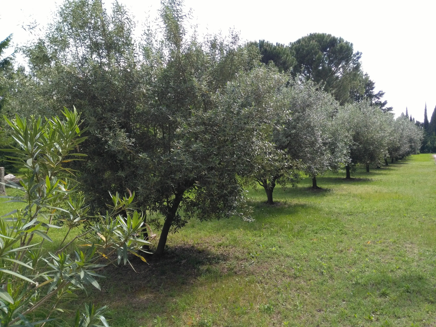 Le rêve D'Emma Chambres D'hôtes