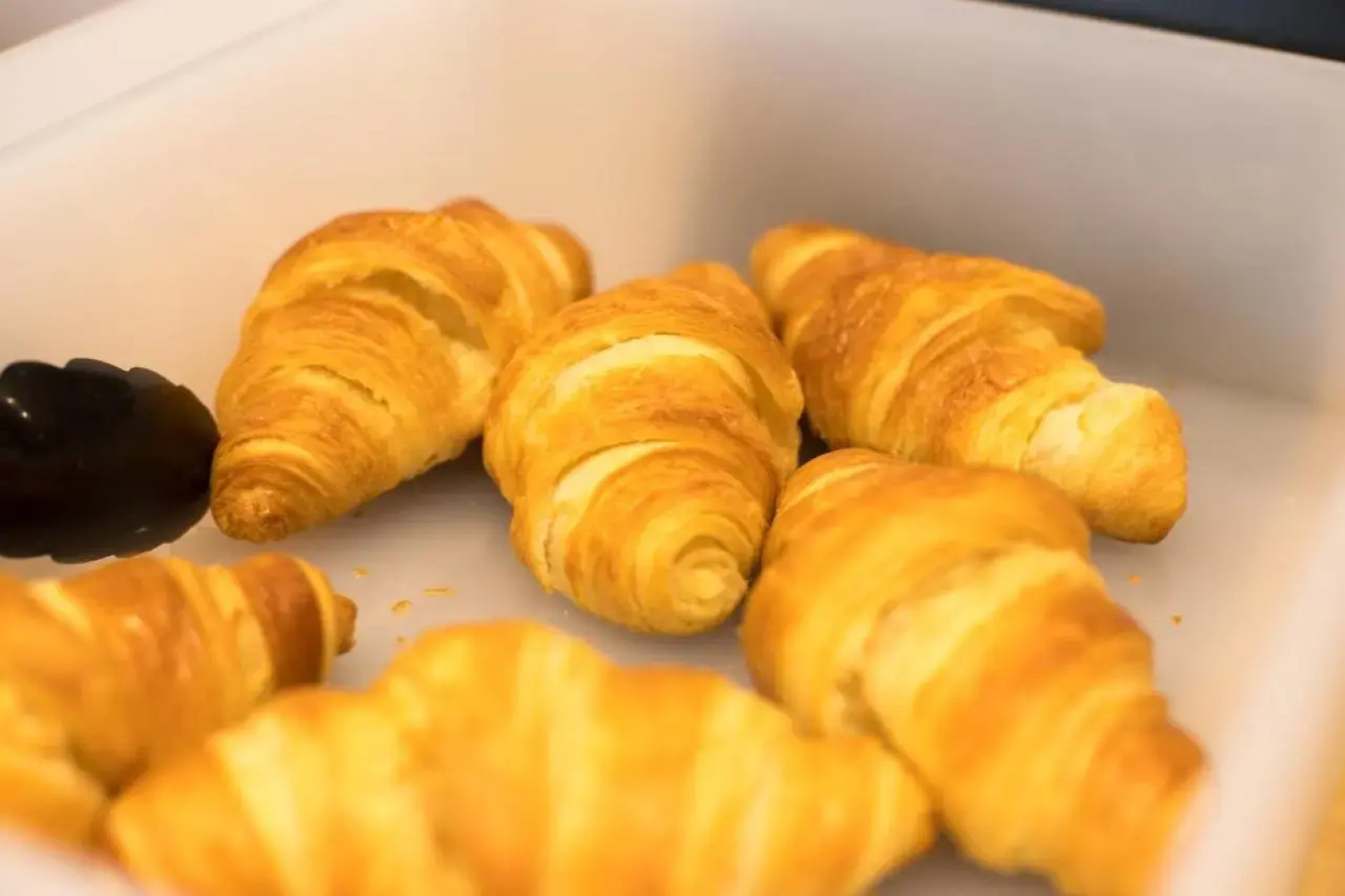 B&B HOTEL CHARTRES Océane