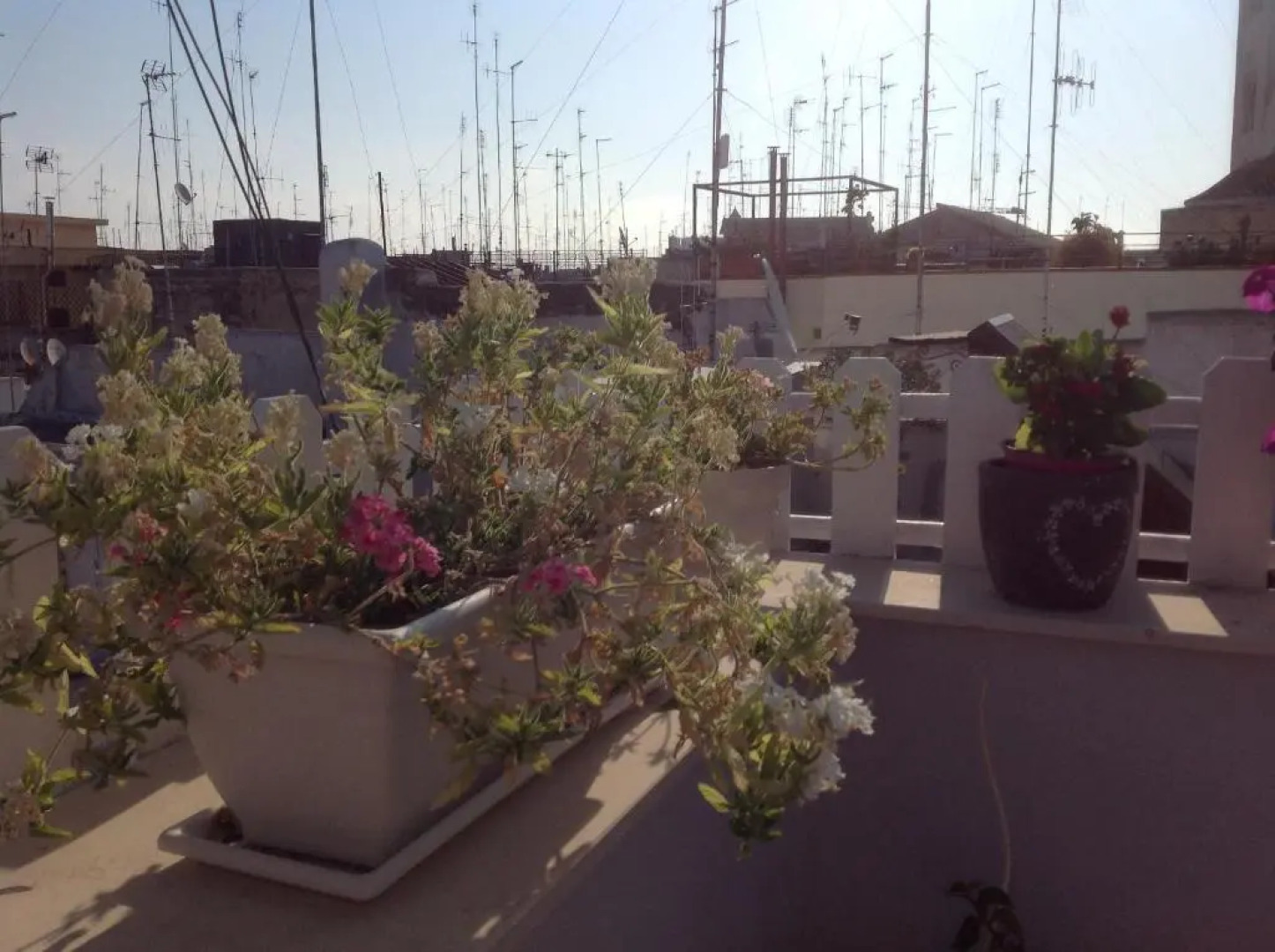 B&B La Maison Del Borgo Antico