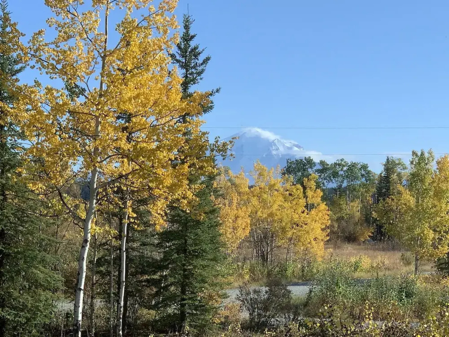 Sawinglogzz Log Cabin