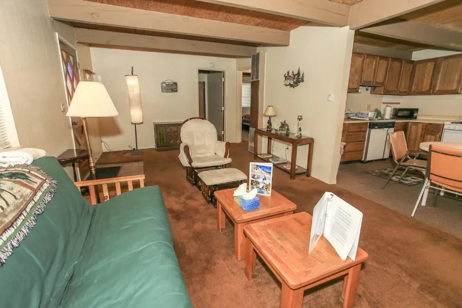 Bearly Rustic - 2BR 1BA, WiFi, Nice Back Yard for Snow Play
