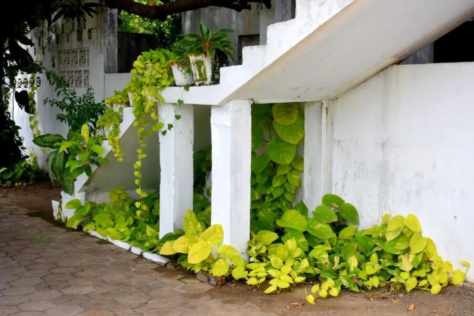 Vista BnB Old Park Road