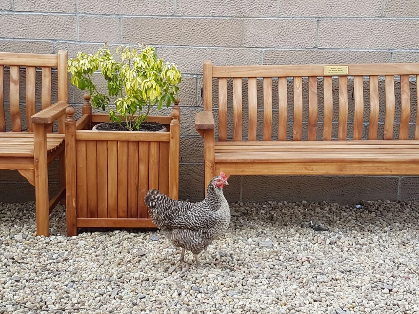 The Old Schoolhouse Hotel