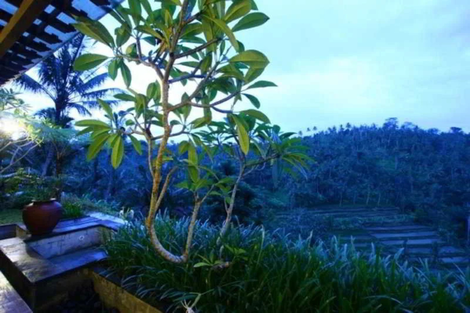 The Payangan Hideaway