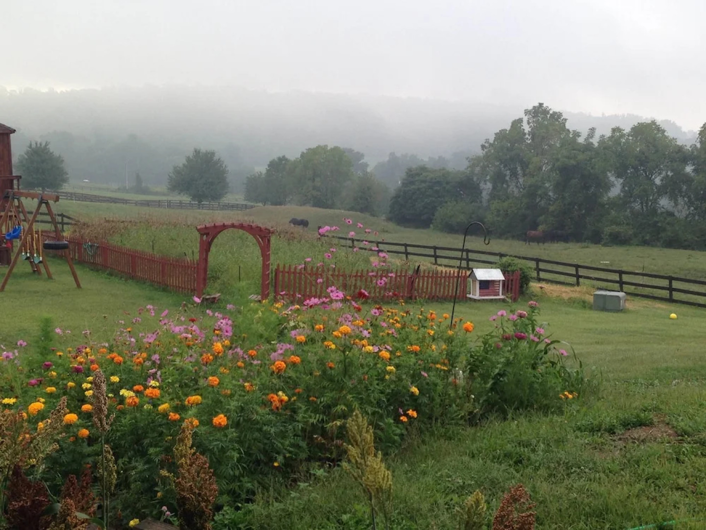 The Dragonfly Bed and Breakfast