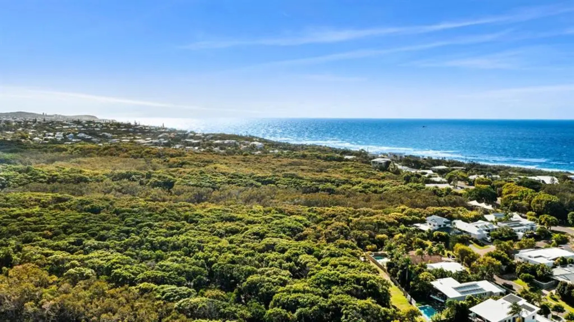 Peace within the palms, Castaways Beach