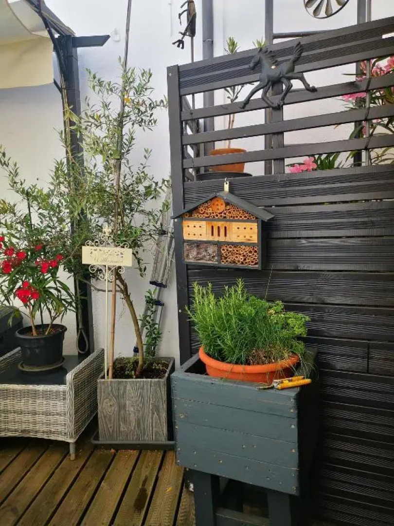 Ferienwohnung Künstler Karlo