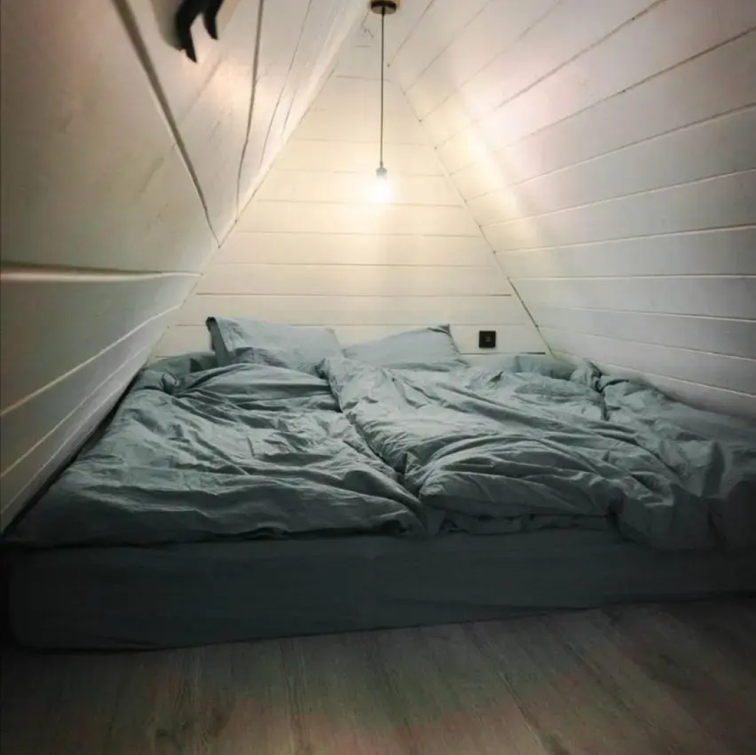 ДНТ Сосновый берег 1