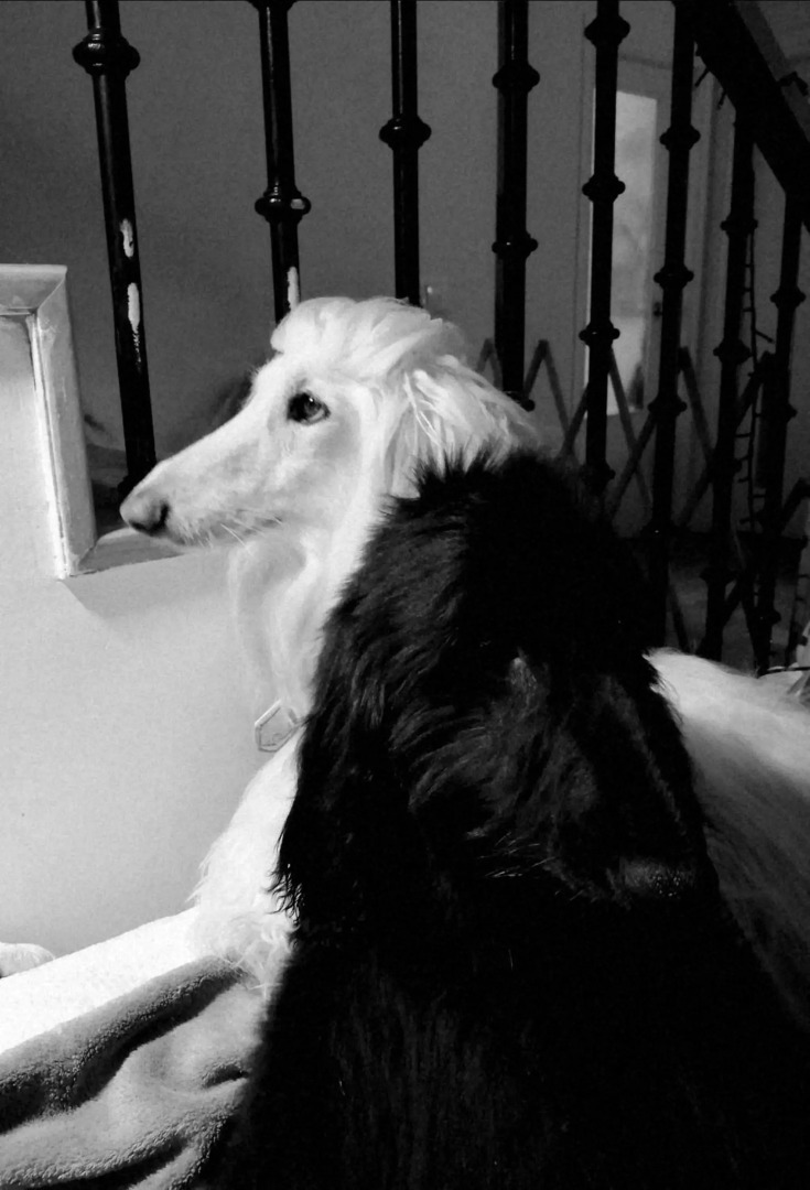 Habitacion basico y económico en casa particular