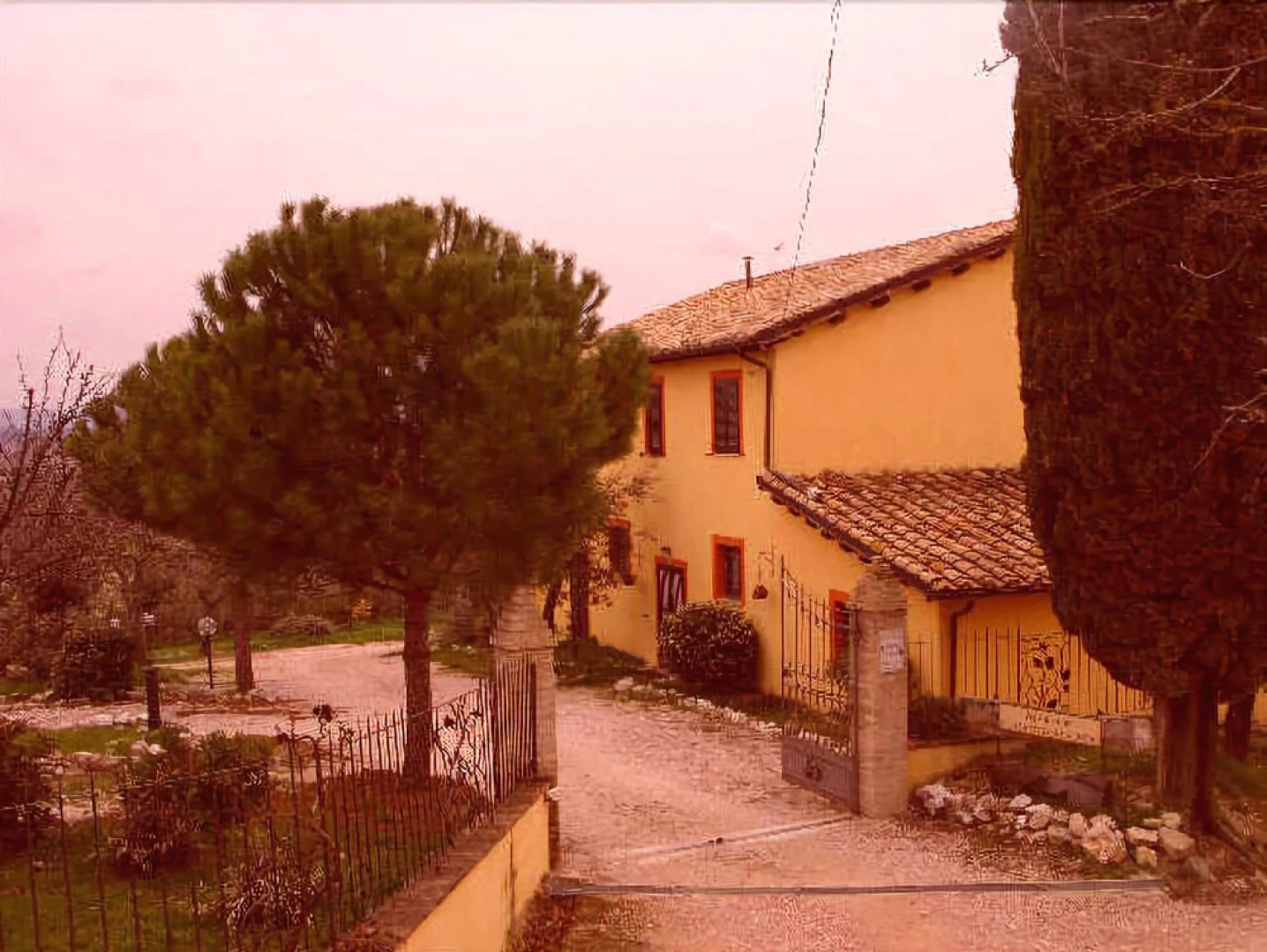 Il Grappolo e la Rosa