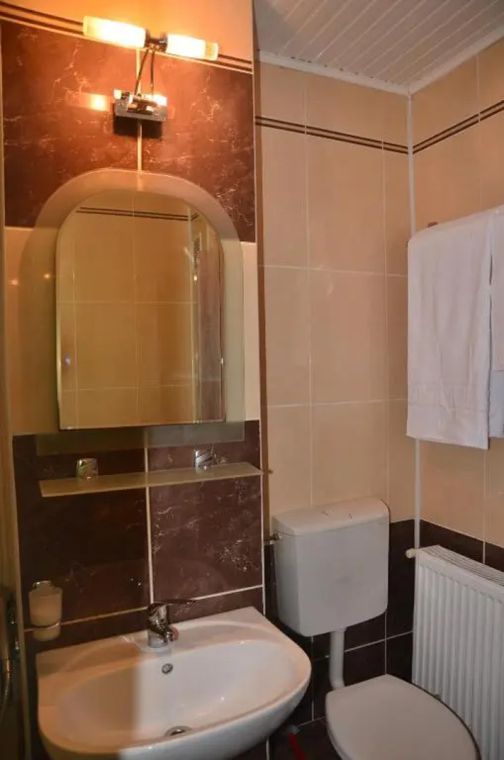 Cazare Medias, apartament modern