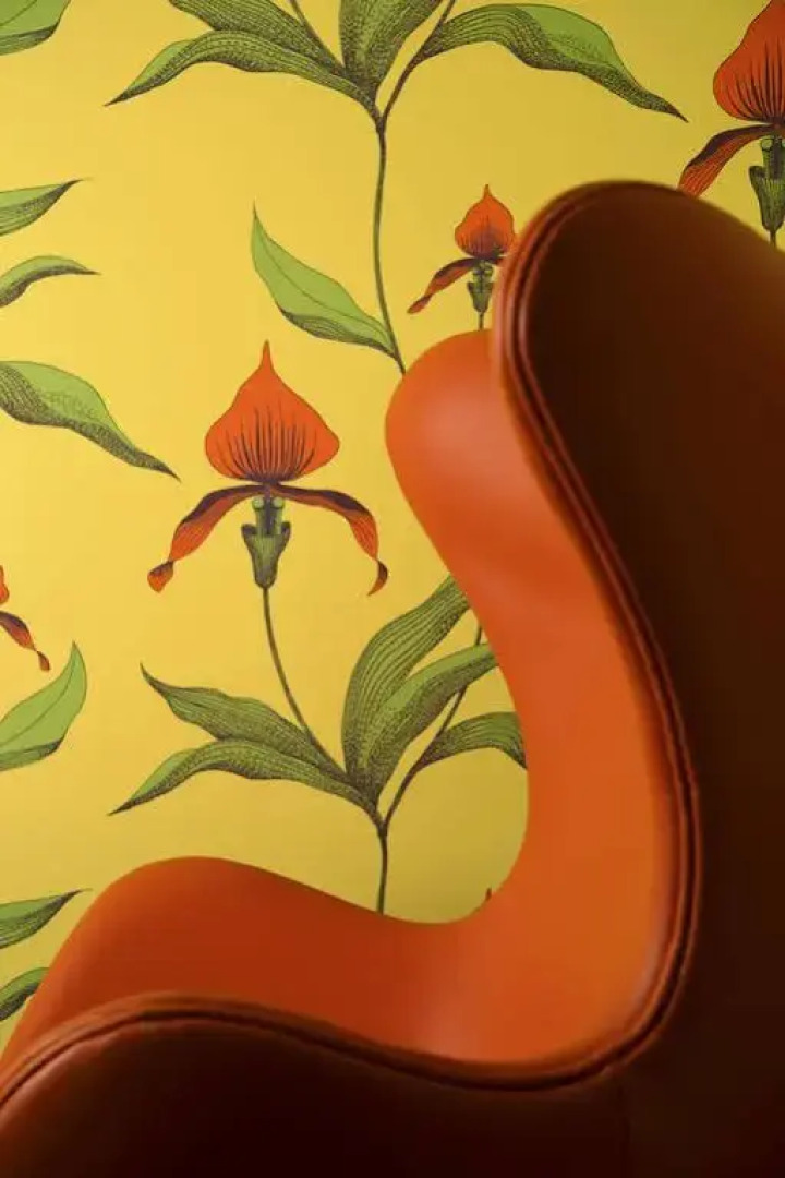 The Cleveland Tontine