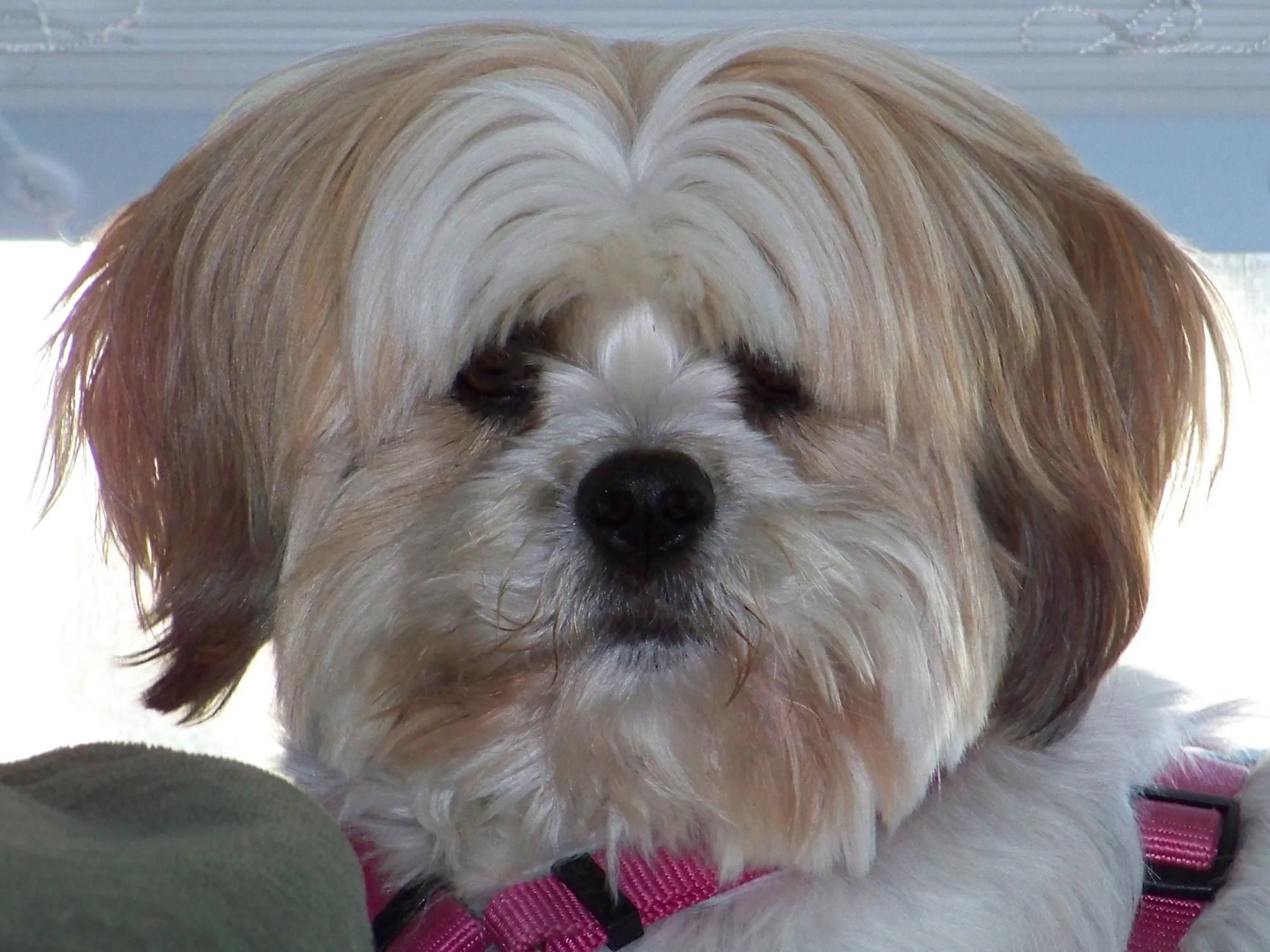 Highliner Hotel & Conference Centre