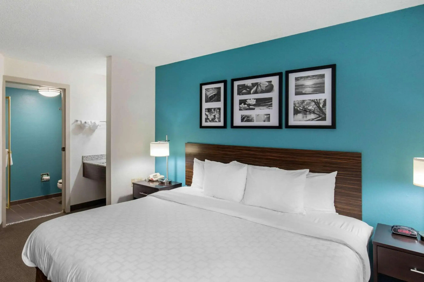 Clarion Inn & Suites DFW North