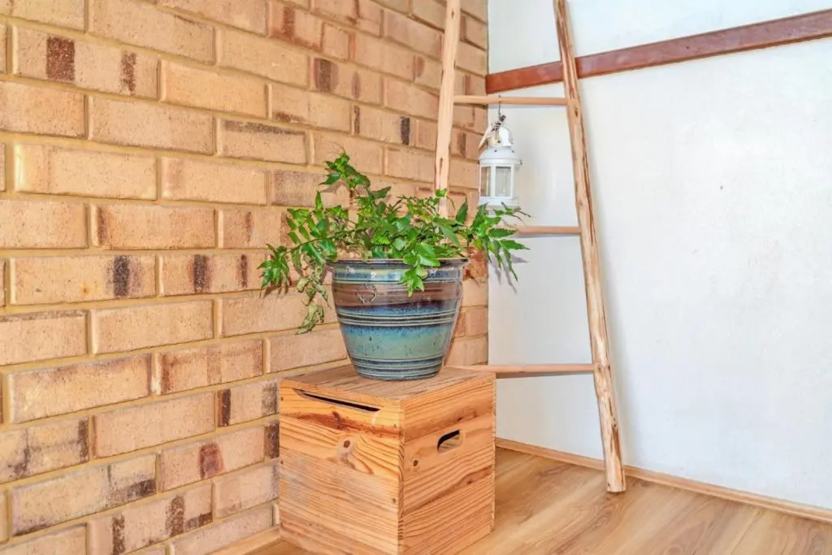 Ocean View Beach House Pet Friendly