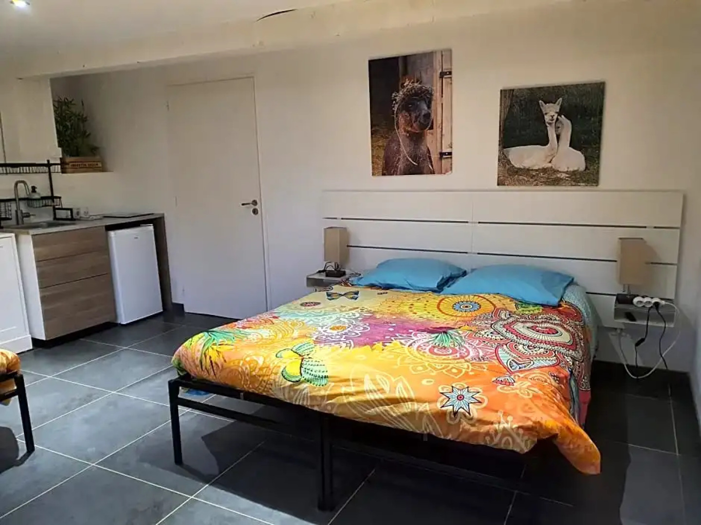 Alpagas Du Domaine Mael