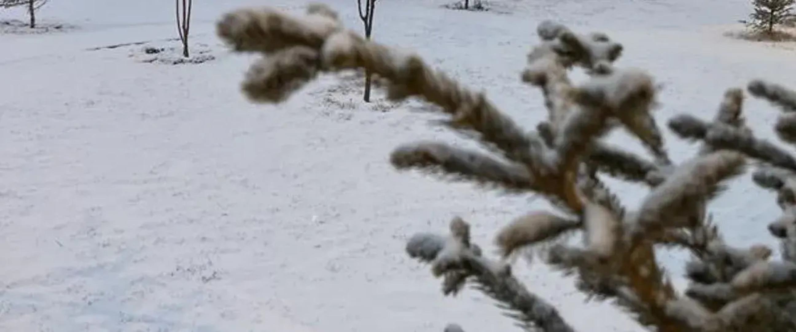 Tatlisu Bungalov Otel