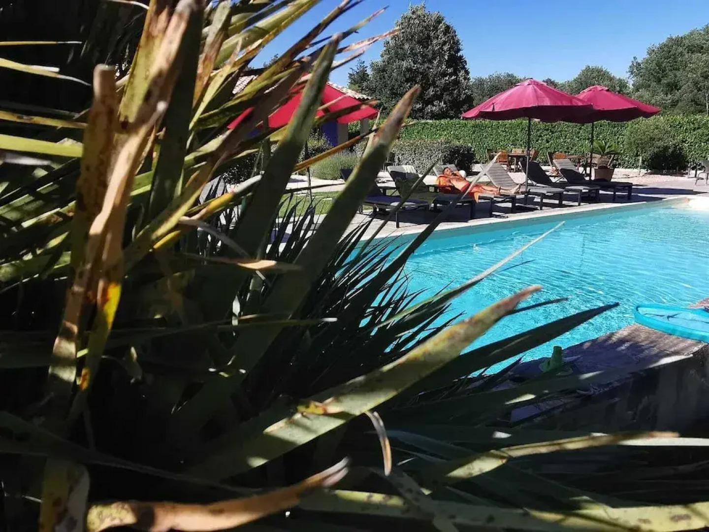 Chambres d'hôtes La Dryade