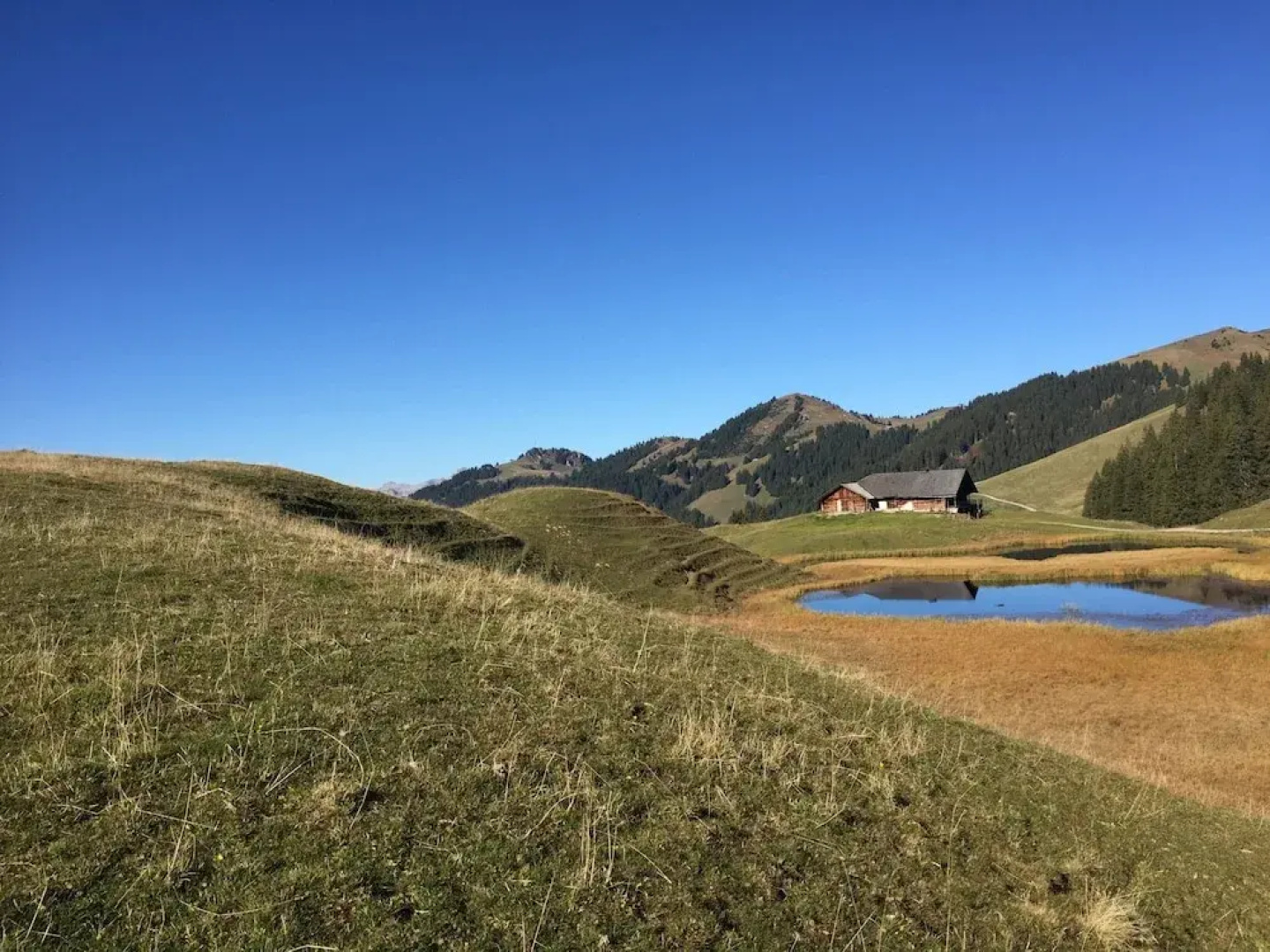 bundb-wyssen-matten