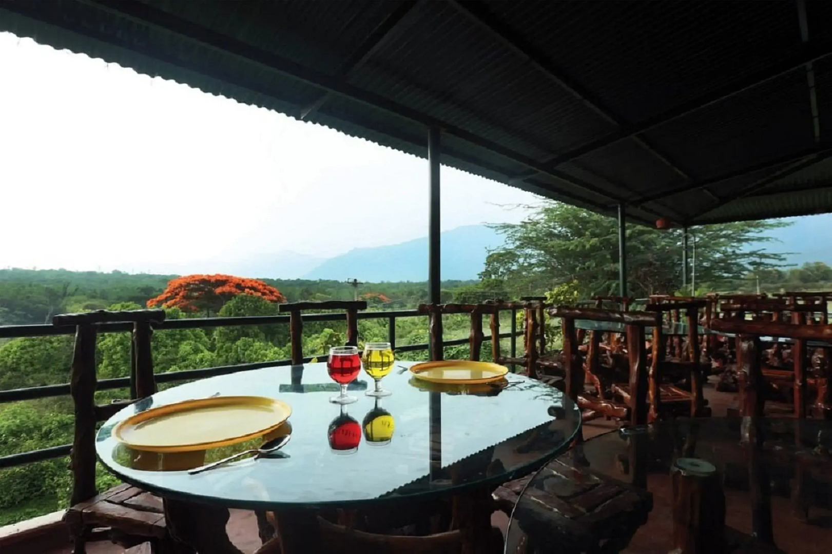 The Tiger Paw Resort