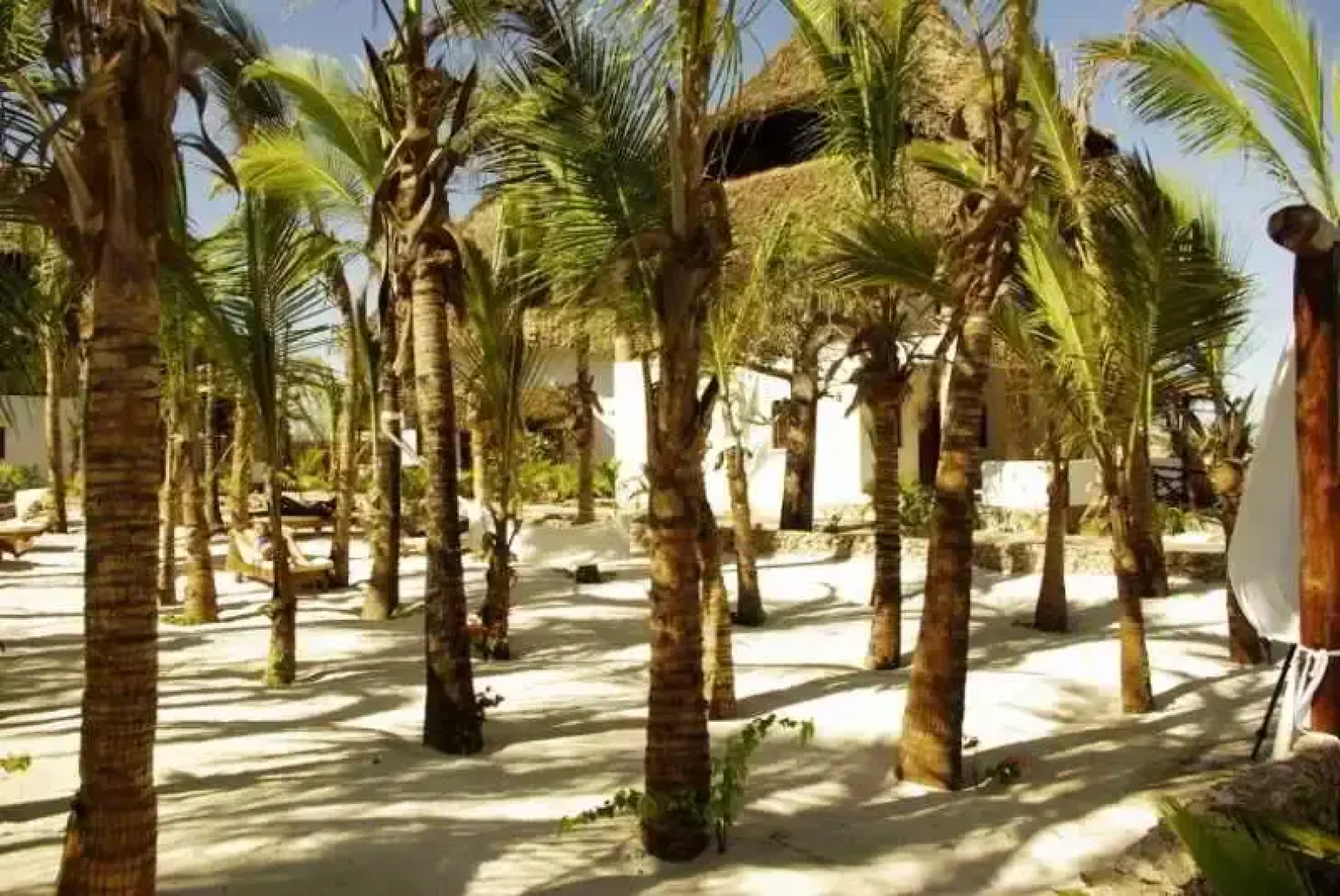 Jacaranda Villas Club