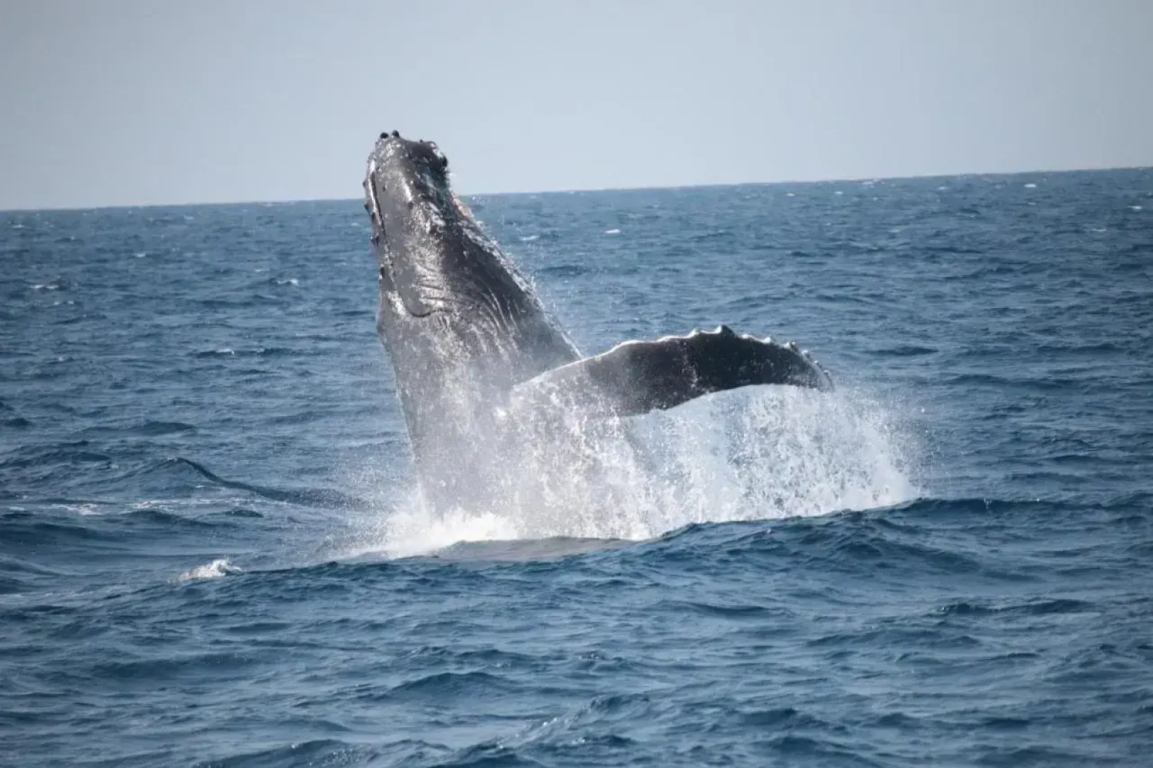 Marine Lodge Umigoya - Vacation STAY 95062