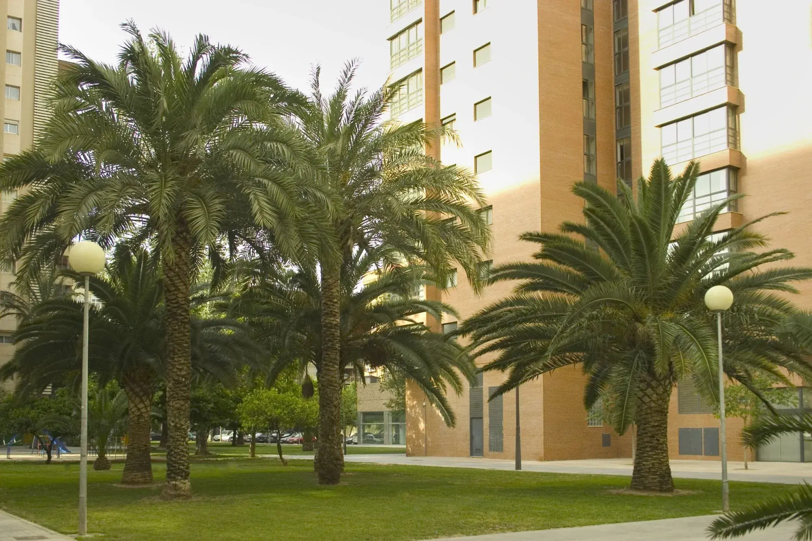 Apartamentos Plaza Picasso