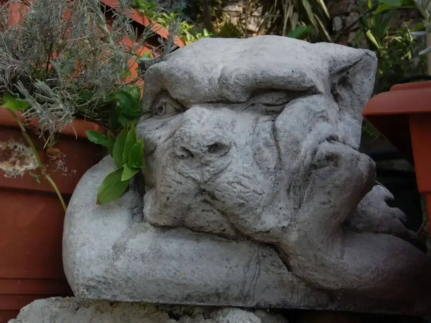 Tuinappartement - Castel D'incze