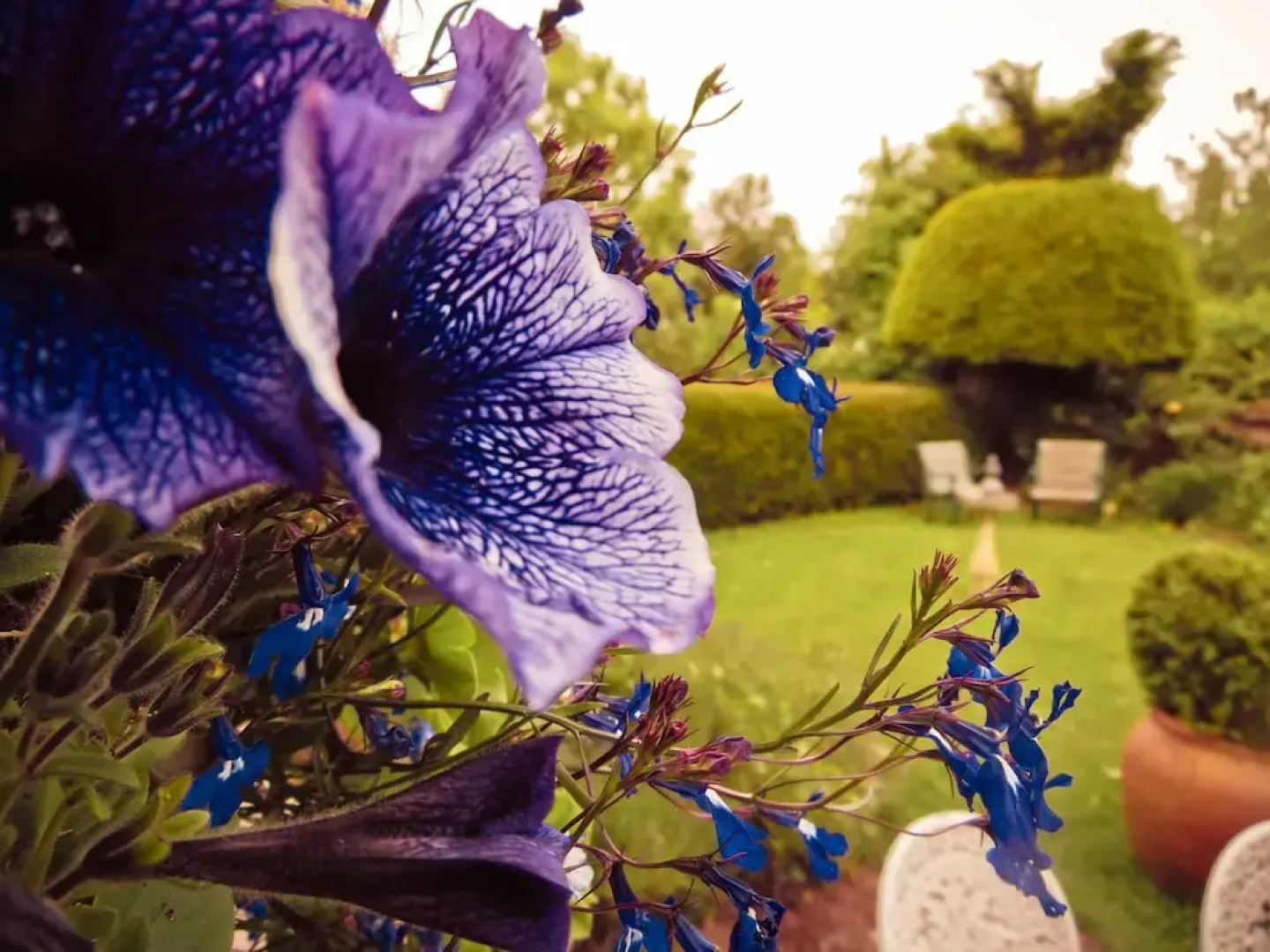 Yew Tree House B & B