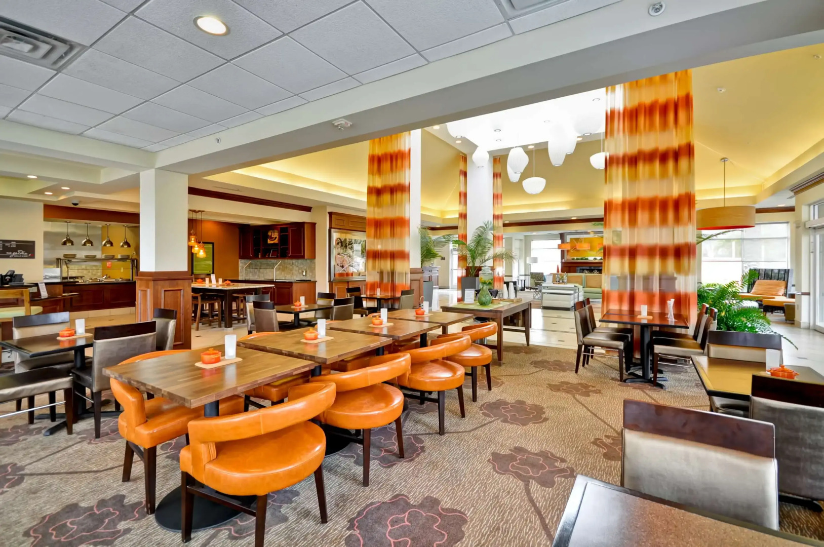 Hilton Garden Inn Tampa Northwest/Oldsmar