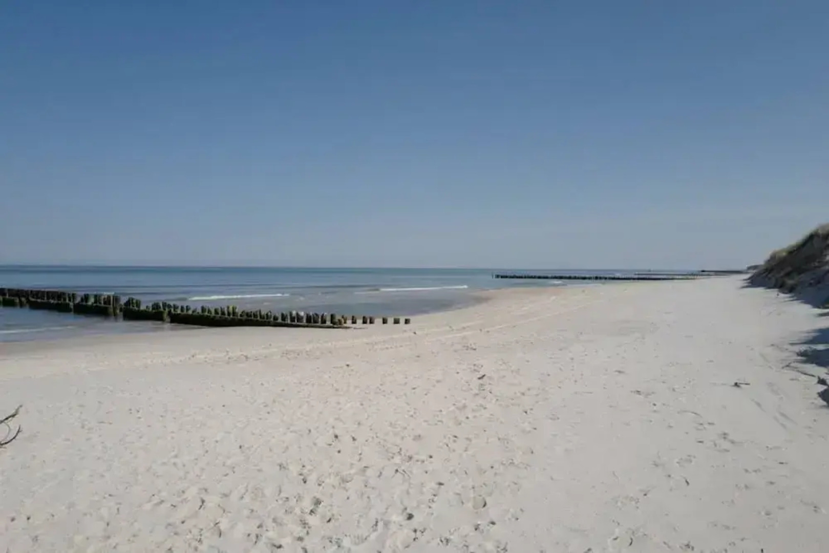 Art Forrest 33 K in Rogowo