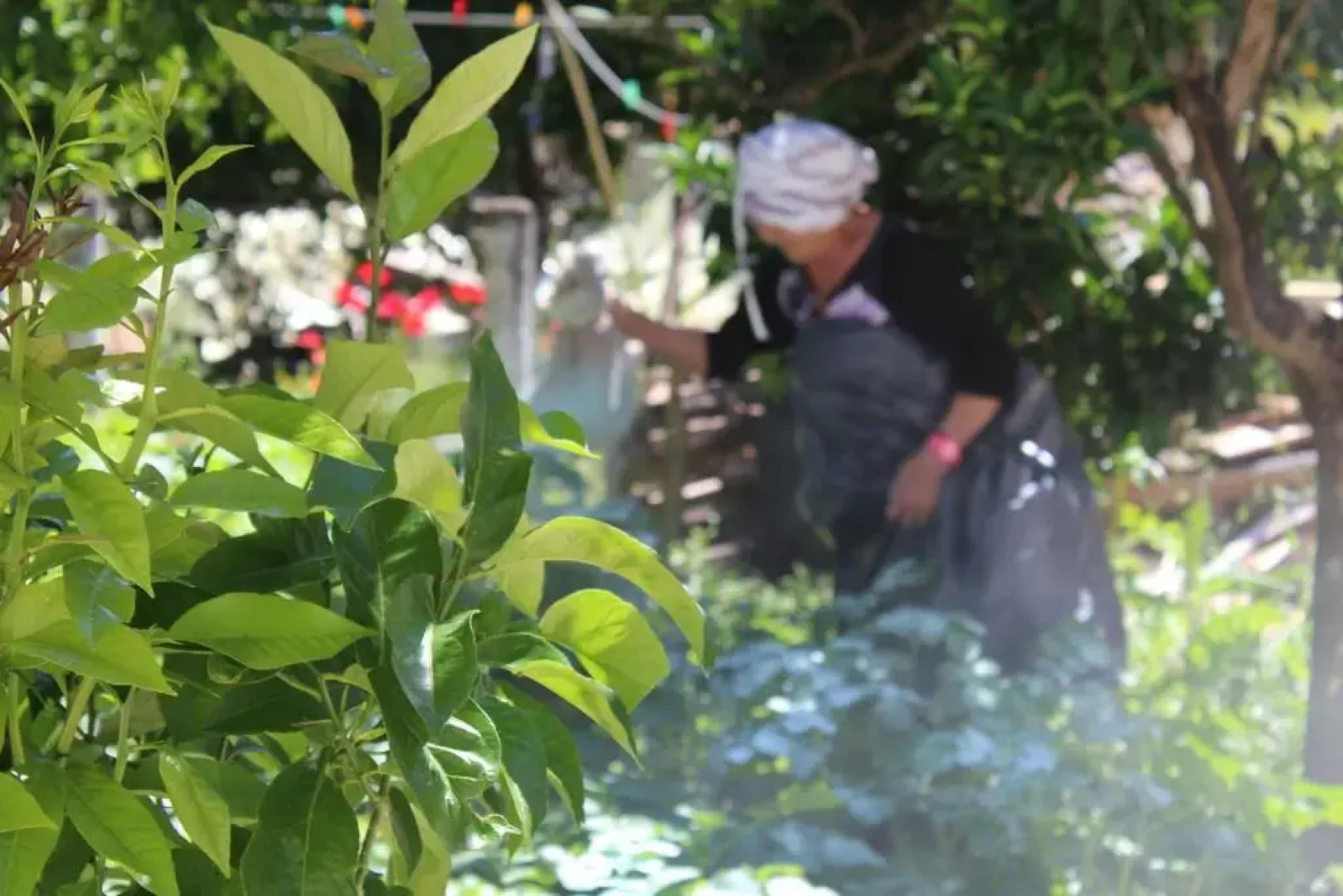 Eirini's House Liapades