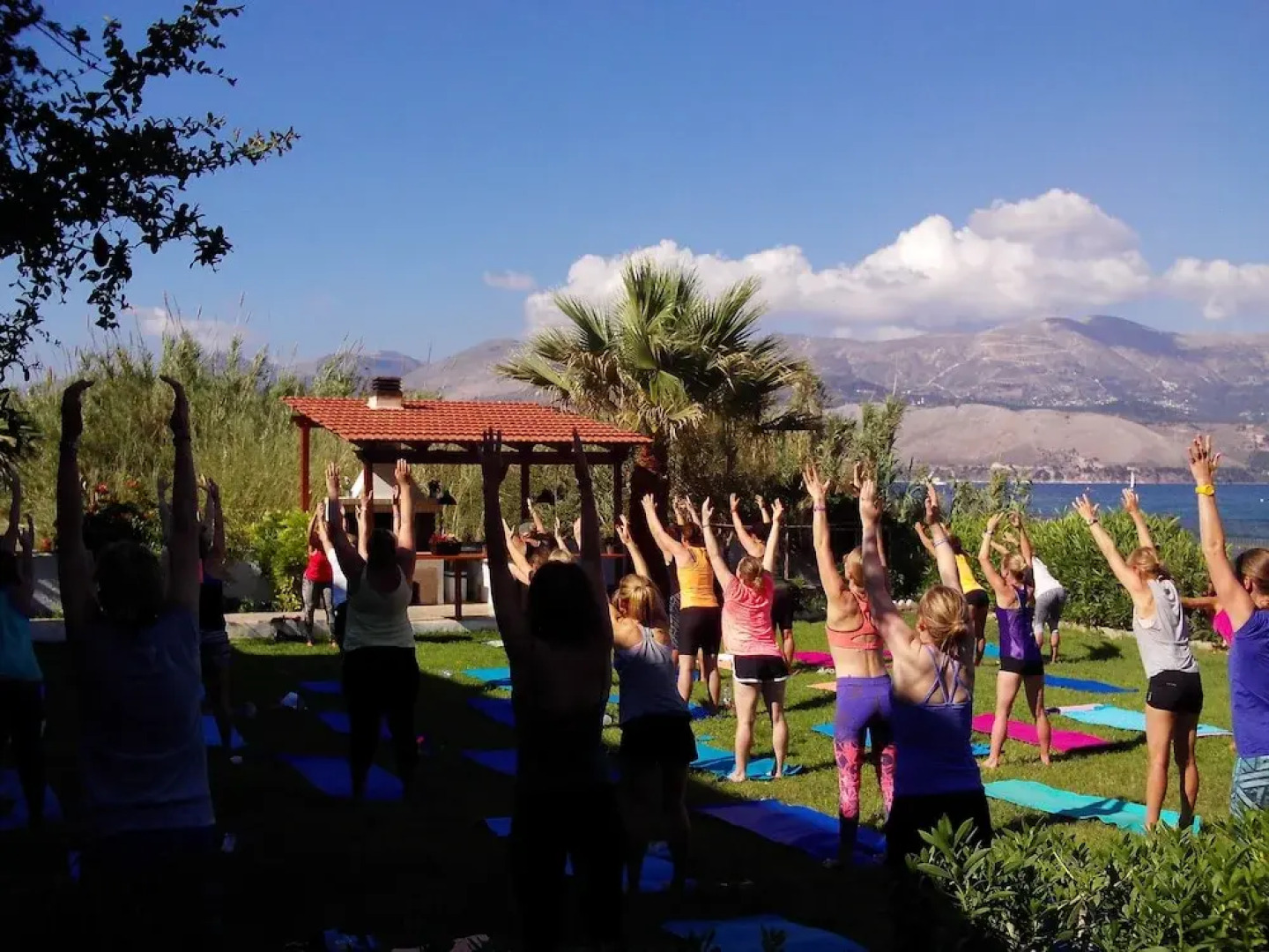 Alekos Beach Houses - Alekos Beach Complex