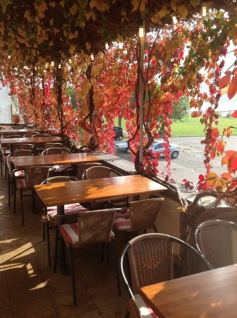 Hotel Rheinecker Hof