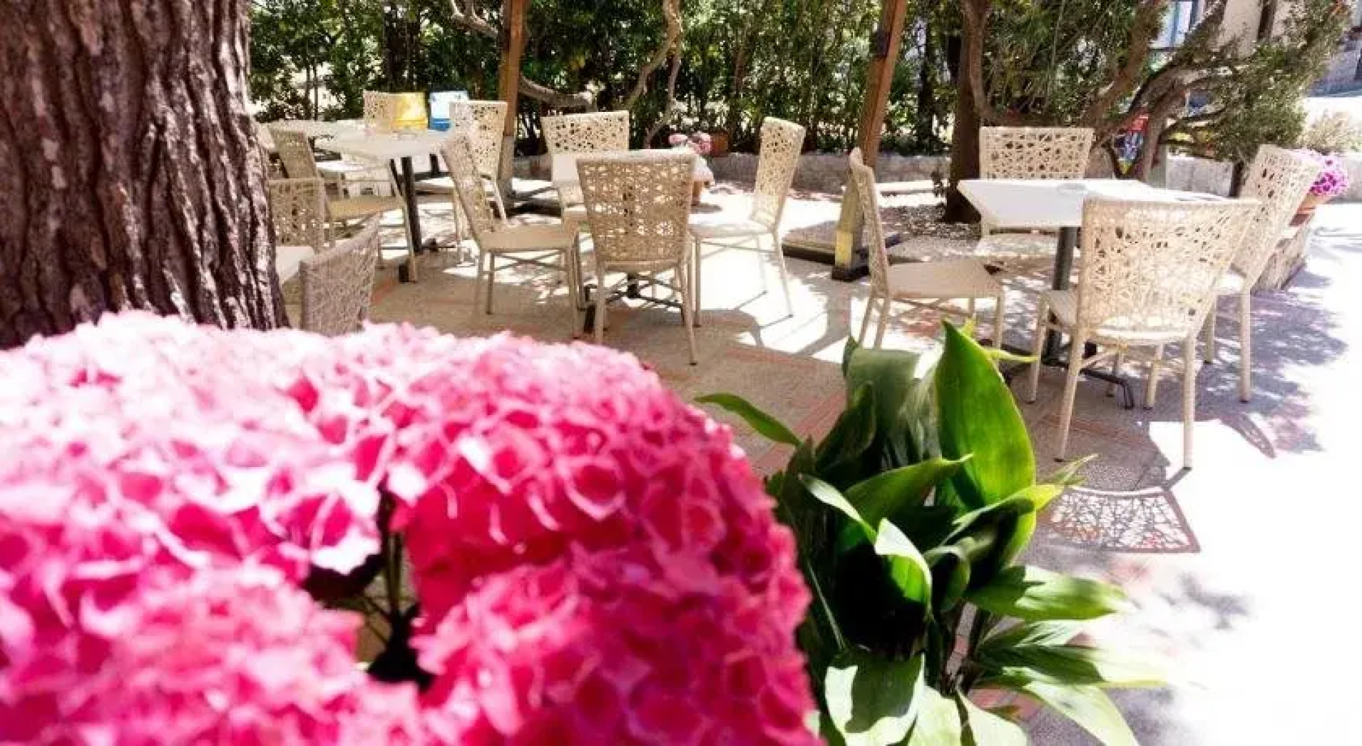Hotel Sardi